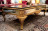 Coffee Table Alexander Bruno zampa Aurea Alexander 07