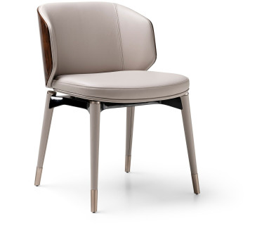 Chair Visionnaire Stone radica