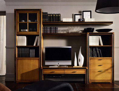 Library Shelf Pregno Korinthos parete Room 1