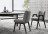 Dining Chair Minotti Lance