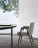 Dining Chair Minotti Lance
