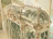 Showcase Riva Giardino italiano 7064