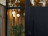 Ceiling-wall Lamp Flos IC Lights