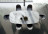 Table Ozzio design Fil8 Fisso T237