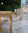 Chair Bizzotto Italia Rose 6005