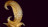Table Reflex Glamour Casanova 72