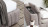 Bed Calligaris Portland CS6074