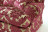 Sofa Asnaghi Bellavista