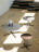 Coffee Table Potocco Graphic 955/TBC-40-955/TBC-60-955/TBC-80