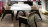 Chair Reflex Disegno Sit