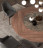 Chair Ozzio design Thelma S456