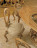 Dining Chair Riva Balbianello 8122