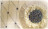 Sofa Delos Caspani tino Encyclopaedia vol.iv B/1833
