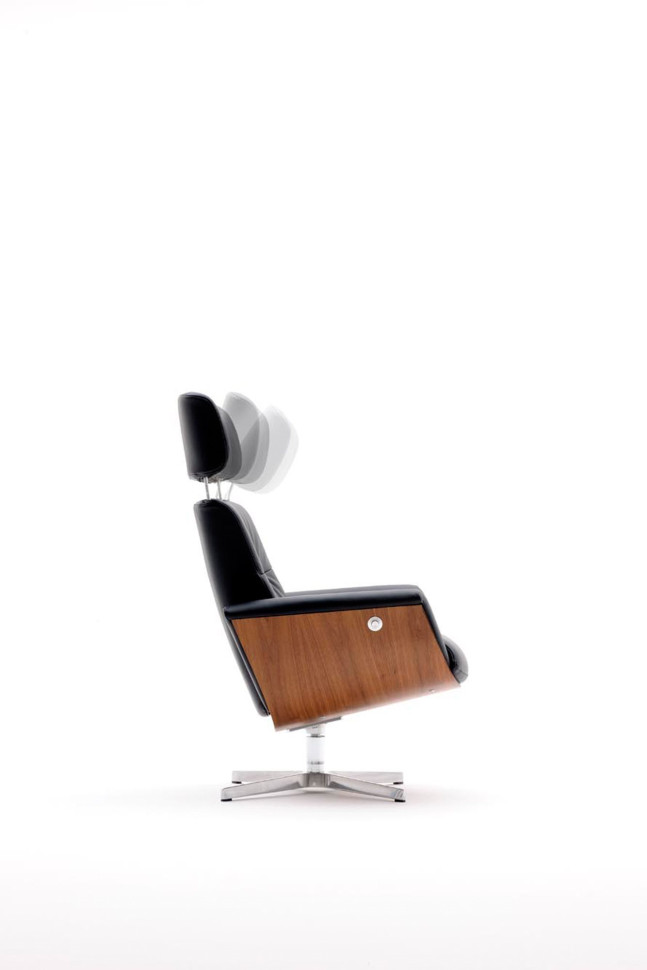 Armchair Alberta Evolution