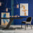 Dining Chair Cattelan italia Musa