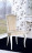 Dining Chair Giorgio casa Memorie veneziane C16