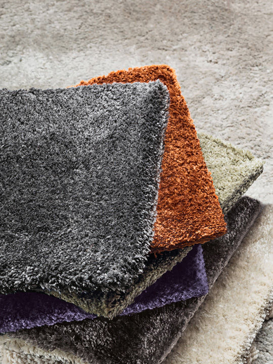 Carpet Minotti Dibbets