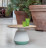 Coffee Table Amira Tonin My home 6273