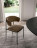 Chair Ozzio design Ego BR S062