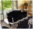 Sofa Adone Tonin Glamour 1578