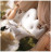 Bed Bitossi luciano Mon amour night &amp; day 2506