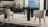 Chair Reflex Disegno Comfort Sedia