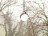 Pendant Lamp Flos Aim