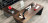 Writing Table Cattelan Italia Vega