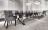 Dining Table Dv home collection Hermes Suite 600