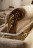 Armchair Bacci stile Premiere Pr.026