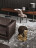 Coffee Table Minotti Still