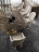 Dining Table Dv home collection Ritz