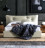 Bed Script Santa lucia Ltl 423n