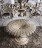 Dining Table Silvano grifoni Living room 3360