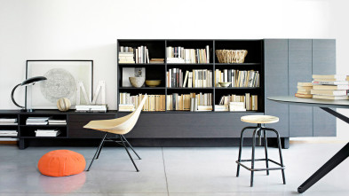 Library Shelf Lema T030