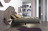 Bed Flattua Lago Bedroom Fluttua_bed
