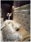 Bed Rampoldi Belleville Jas 100
