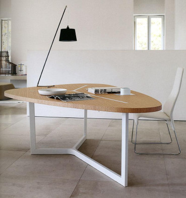 Dining Table B&amp;b italia Ts234