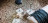 Coffee Table Cattelan italia Axo
