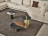 Coffee Table Bontempi Yang