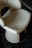Chair Cattelan Italia Dafne