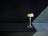 Desk Lamp Flos Bon Jour Versailles Small