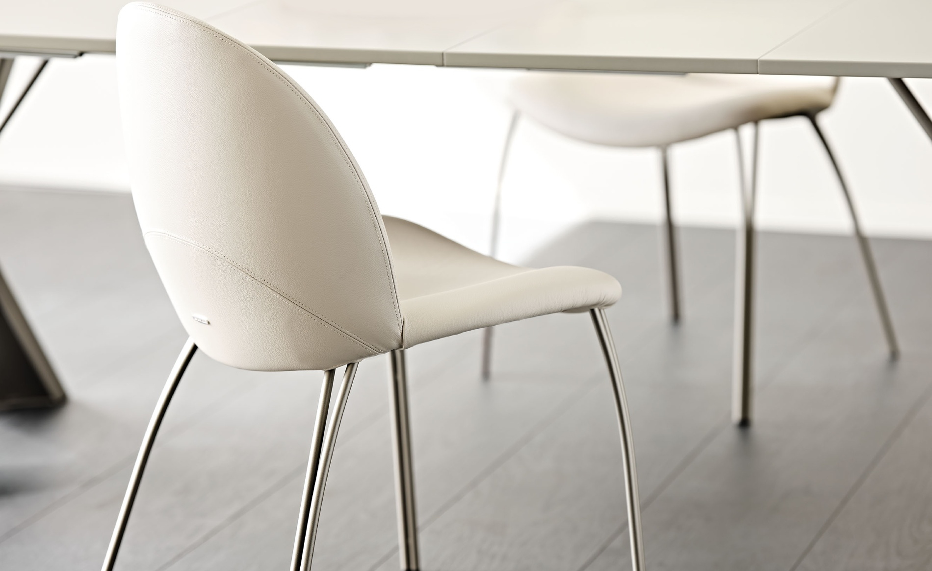 Dining Chair Cattelan italia Holly Dining Chair Cattelan italia Holly