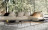 Coffee Table Minotti Lelong