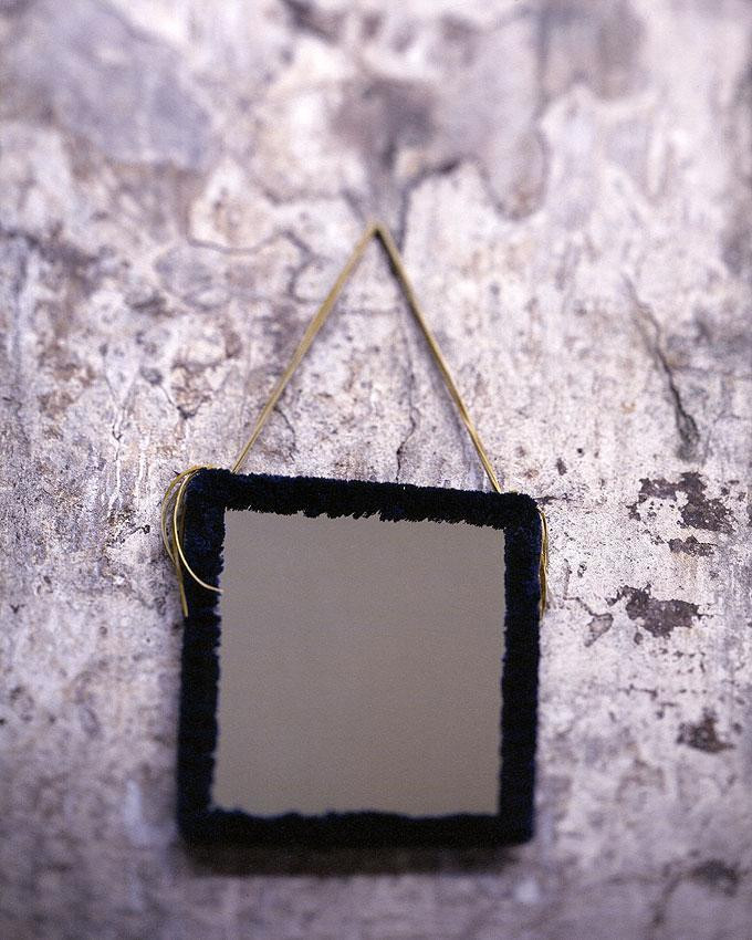 Mirror Baxter Alouette