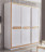 Wardrobe Giuliacasa Michelangelo 420-Mi