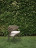 Chair Potocco Ola 923