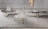 Coffee Table Casamilano Design Roberto Lazzeroni Arne
