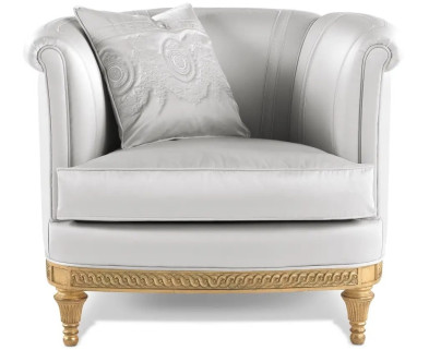 Armchair Jumbo Collection Ivy