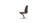 Dining Chair Cattelan italia Betty
